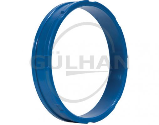 Guide Ring Of Piston Seal 1