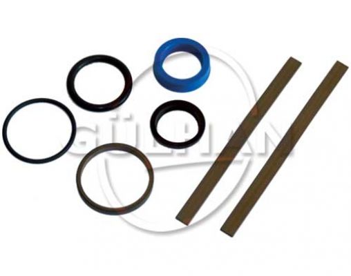 Seal Set (Repair Kit) Of Check Valve 1