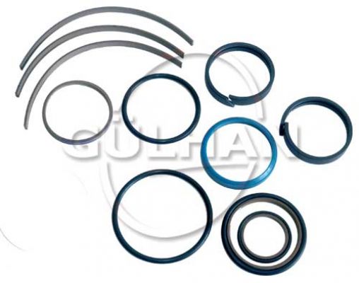 Seal Set (Repair Kit) Of Check Valve (Double) 1