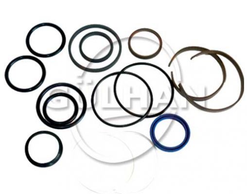 Seal Set (Repair Kit) Of Check Valve 1