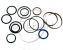 Seal Set (Repair Kit) Of Check Valve (Single)