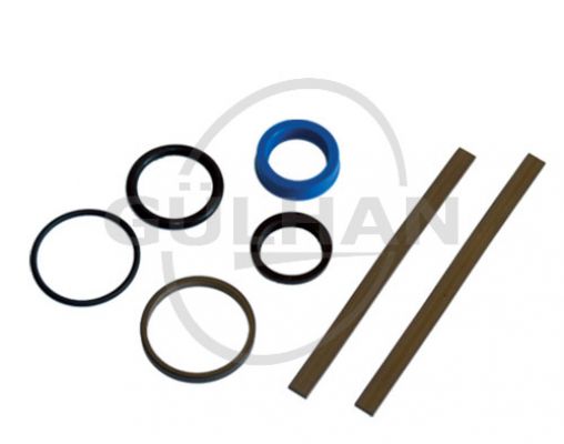 Seal Set (Repair Kit) Of Check Valve 1